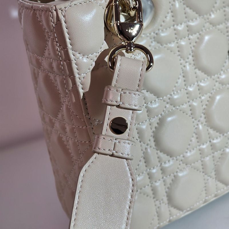 디올 레이디백 스몰