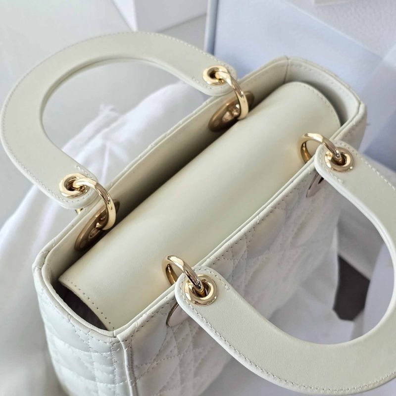 디올 레이디백 스몰