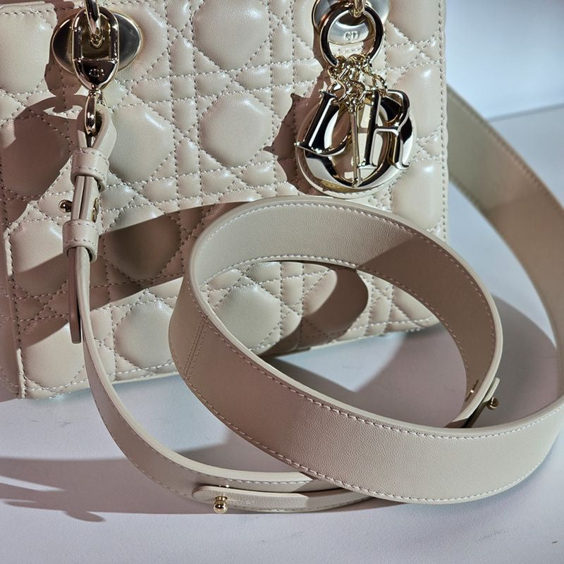 디올 레이디백 스몰