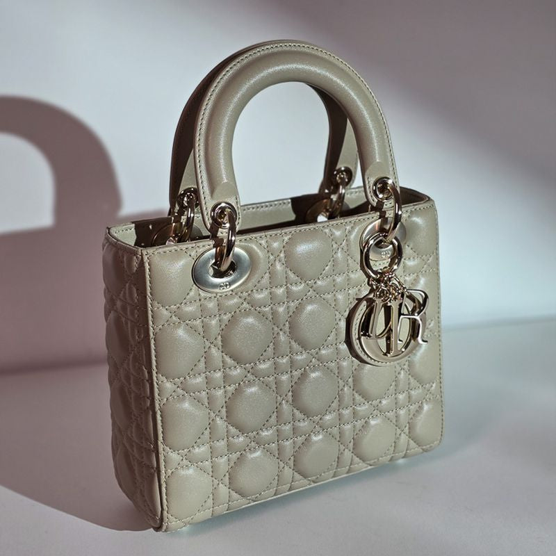 디올 레이디백 스몰