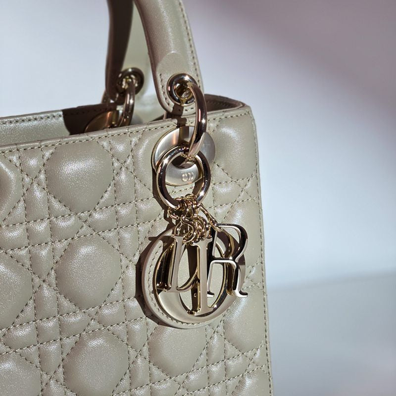 디올 레이디백 스몰