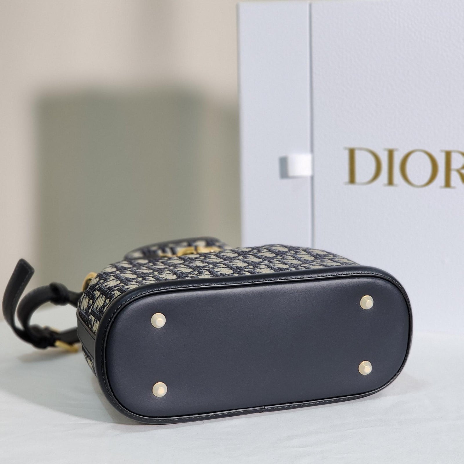 디올 C'est 오블리크 버킷백 미디움