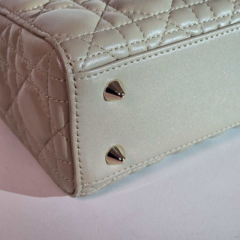 디올 레이디백 스몰