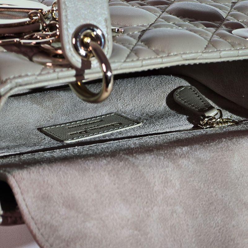 디올 레이디백 스몰