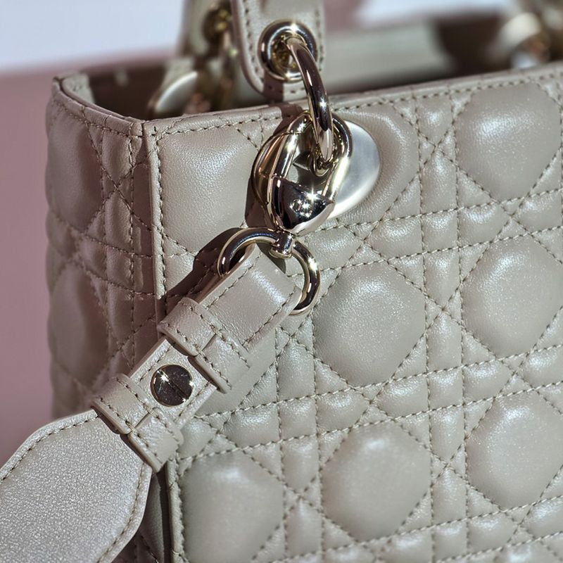 디올 레이디백 스몰