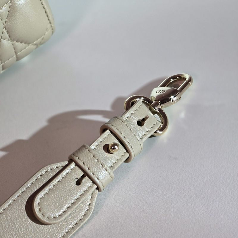 디올 레이디백 스몰