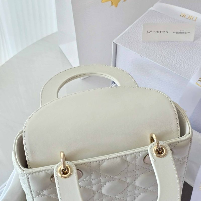 디올 레이디백 스몰