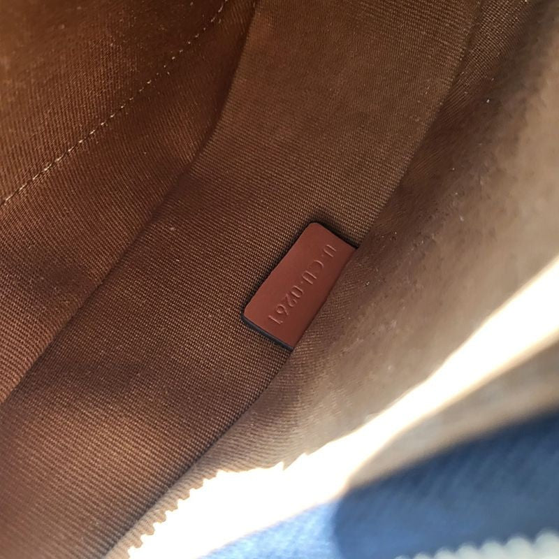 셀린느 트리옹프 아바백 캔버스 미디움