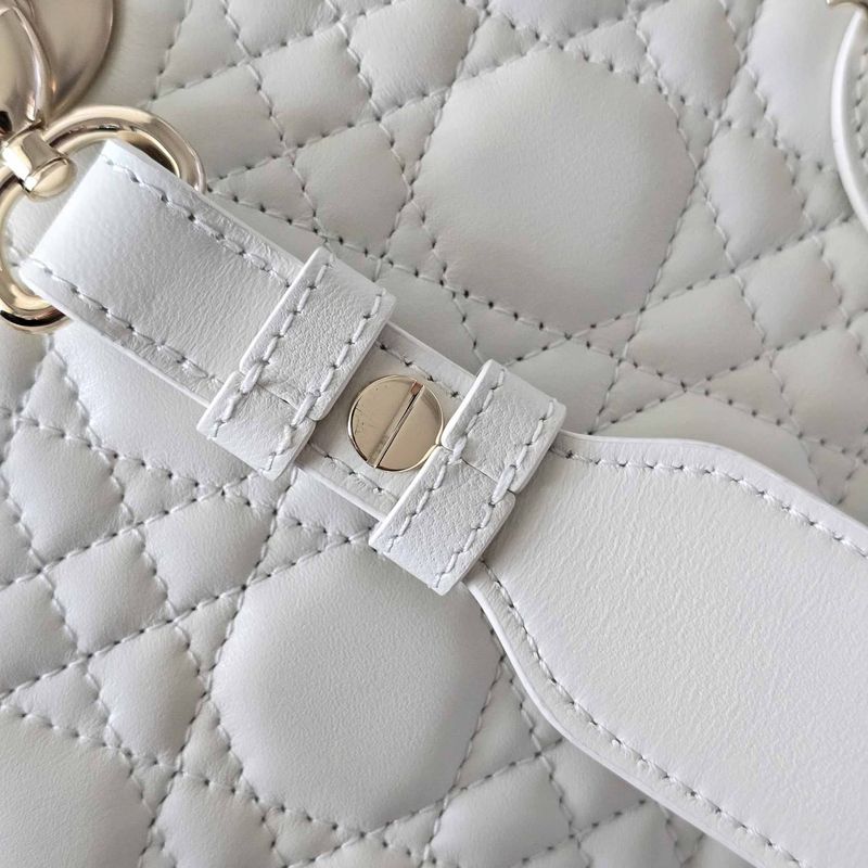 디올 레이디백 스몰