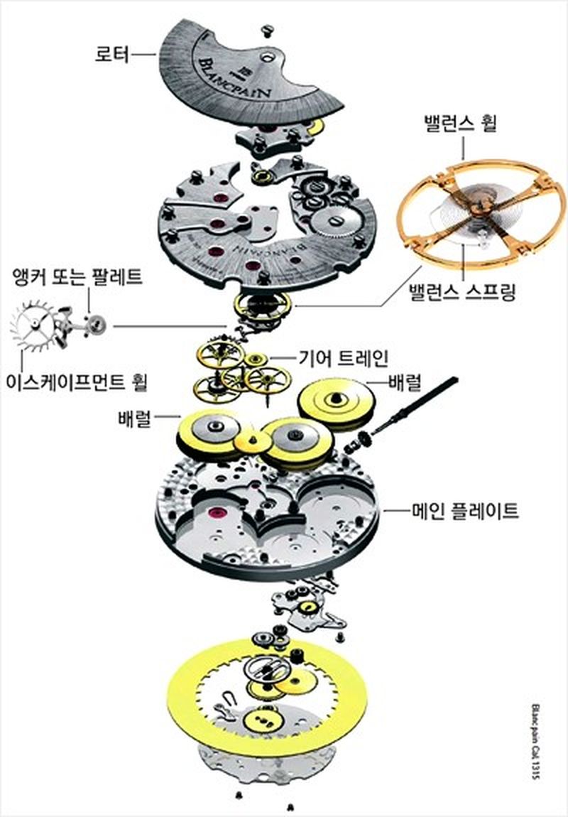 롤렉스 데이저스트 콤비