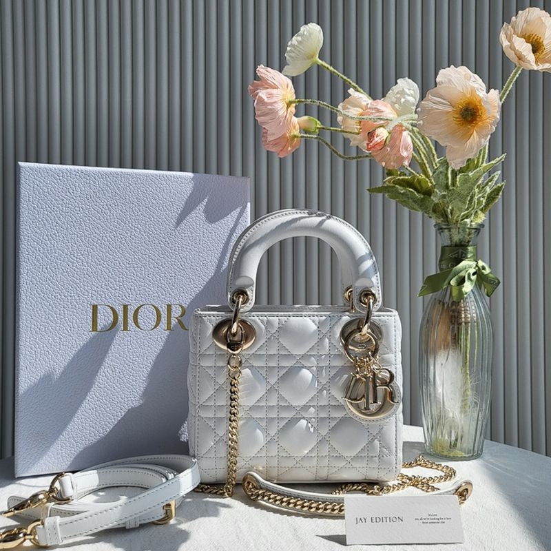 디올 레이디백 미니