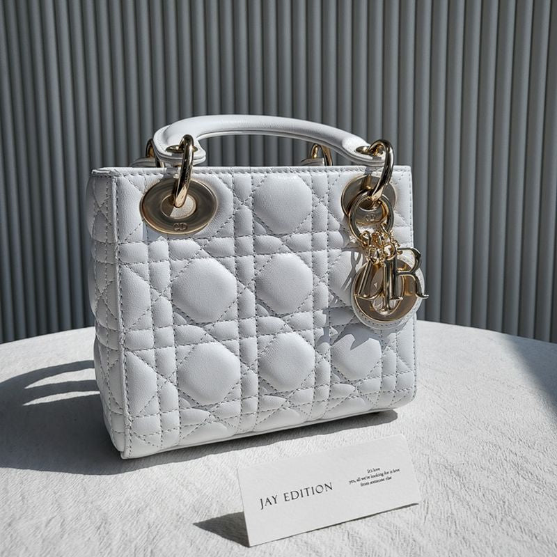 디올 레이디백 미니