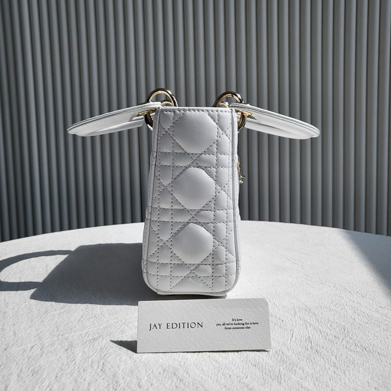 디올 레이디백 미니