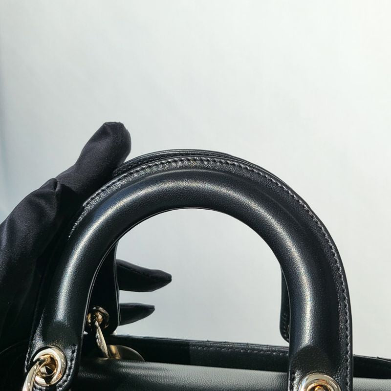 디올 레이디백 스몰