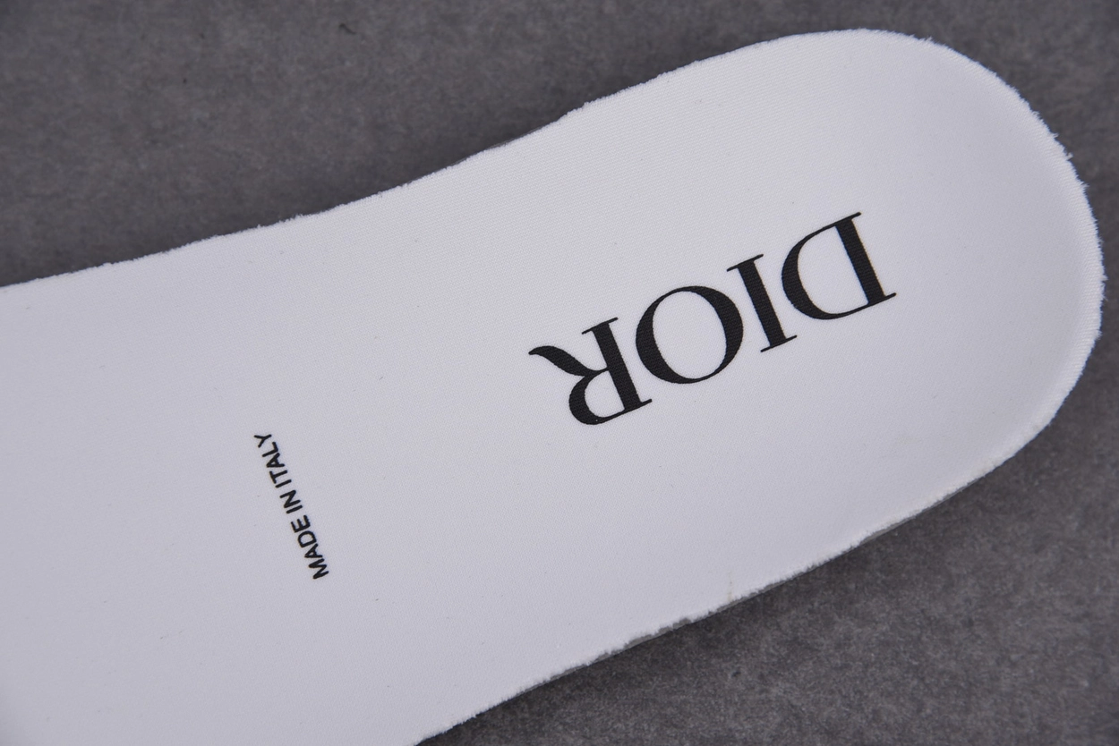 디올 B23 하이탑 스니커즈