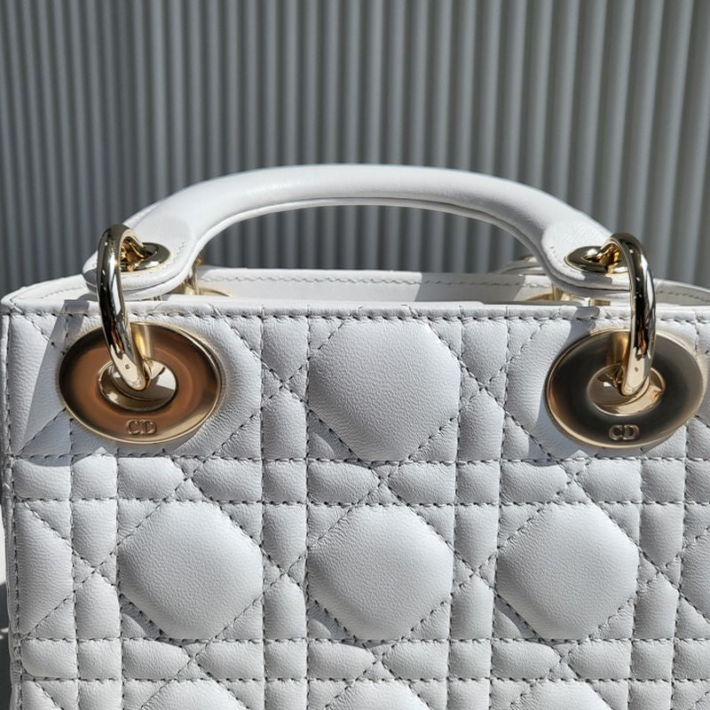 디올 레이디백 미니