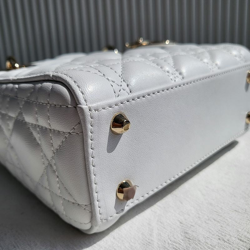 디올 레이디백 미니