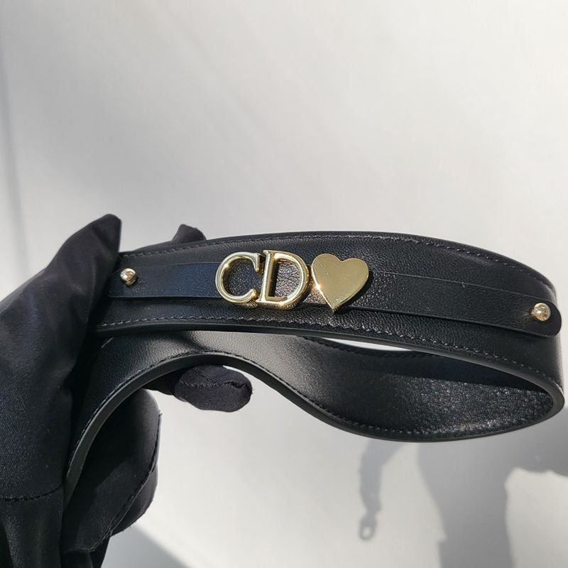 디올 레이디백 스몰