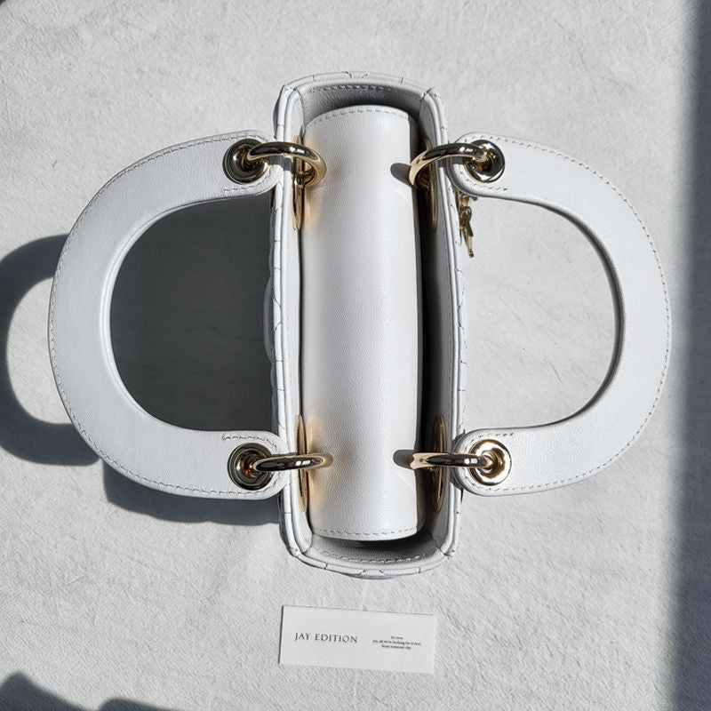 디올 레이디백 미니