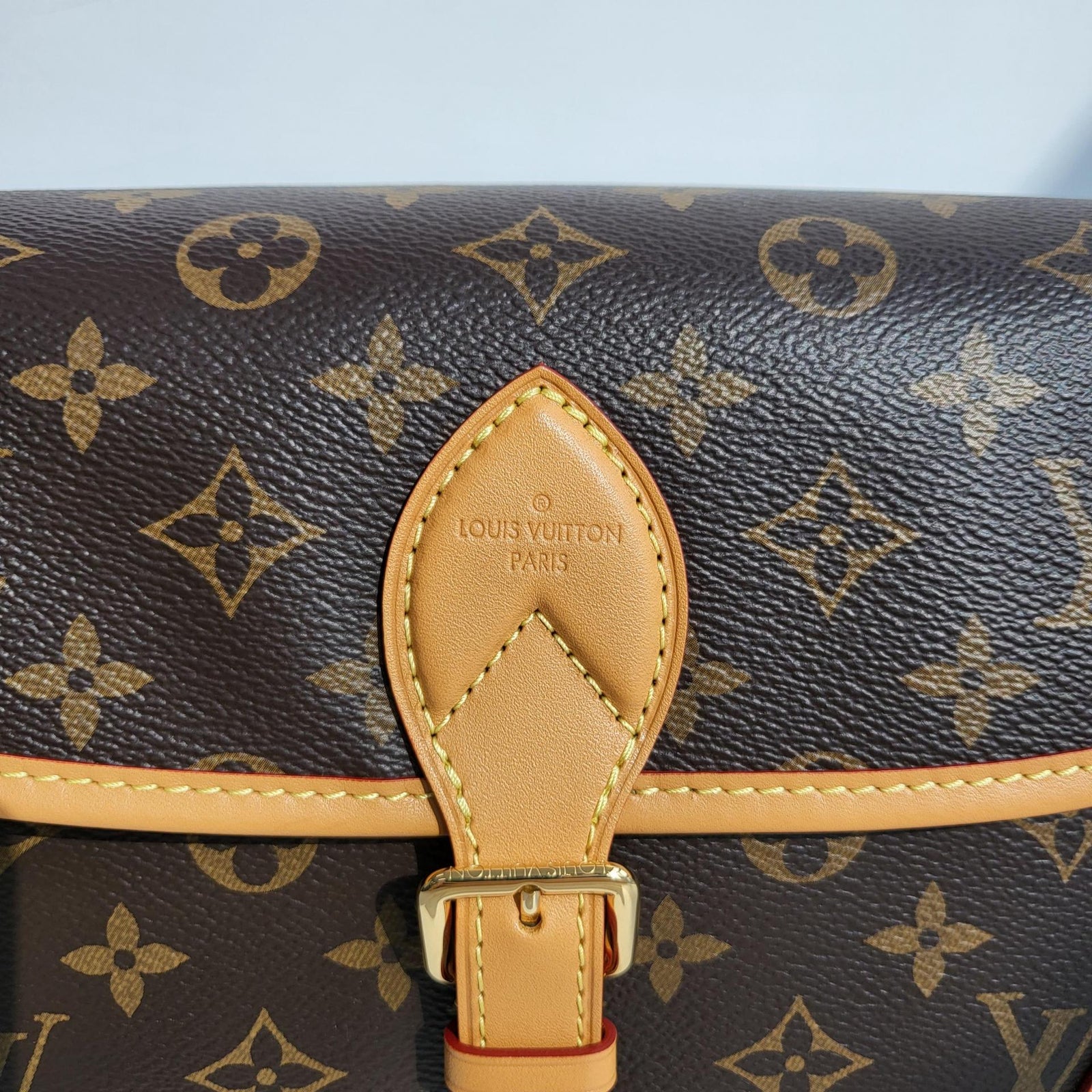 루이비통 다이앤 모노그램