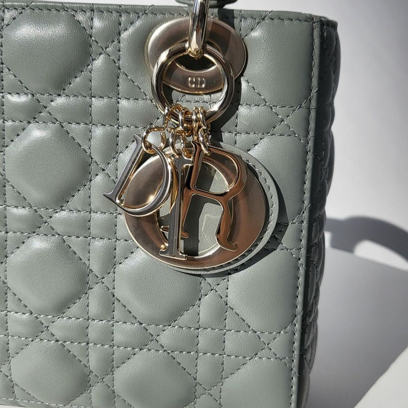 디올 레이디백 스몰