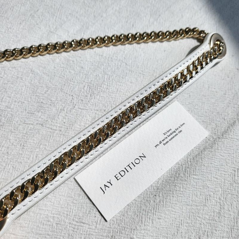 디올 레이디백 미니