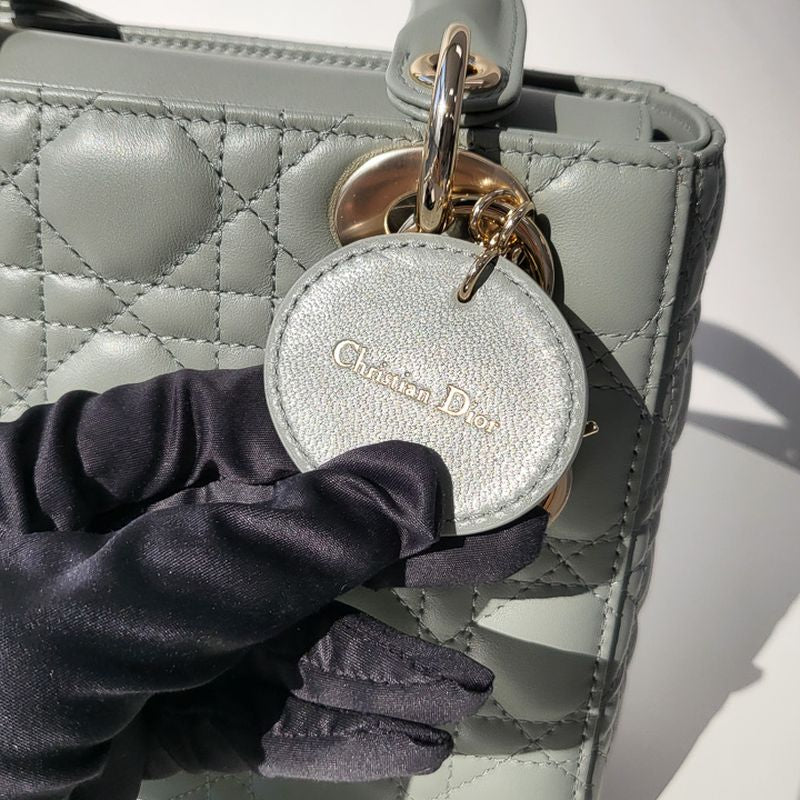 디올 레이디백 스몰