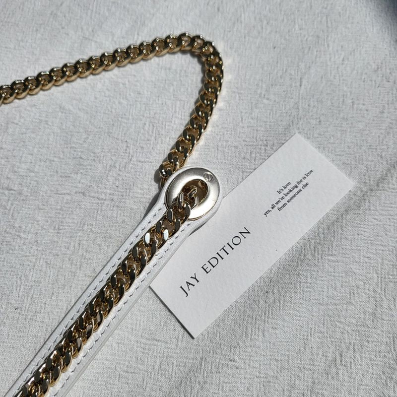 디올 레이디백 미니