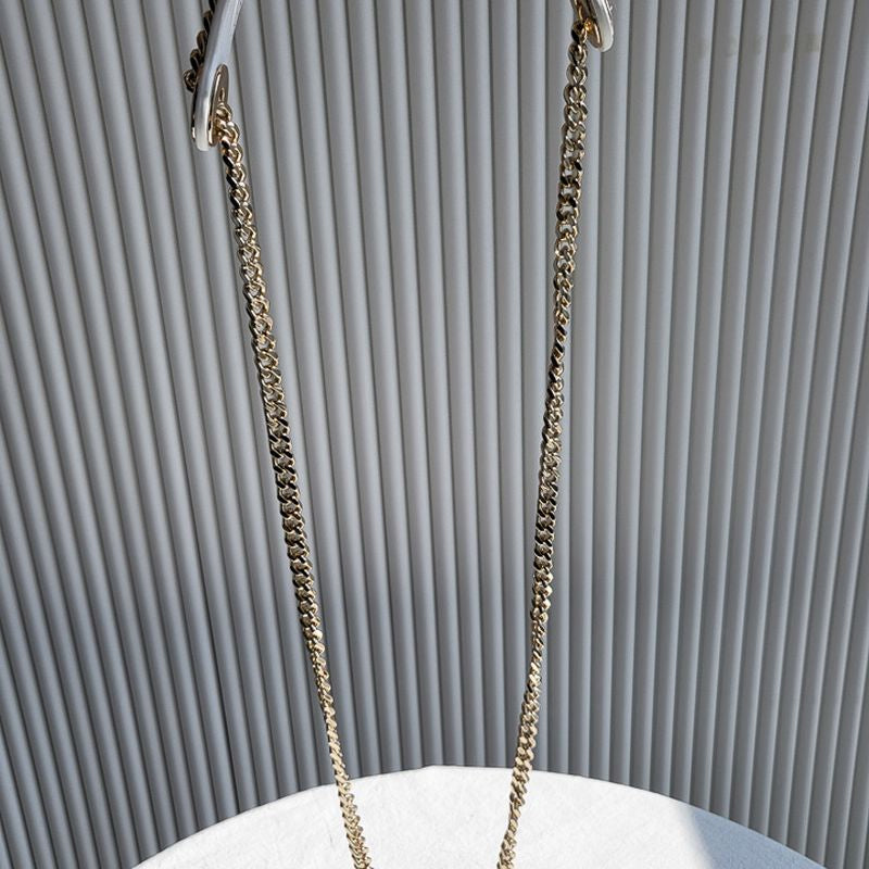 디올 레이디백 미니