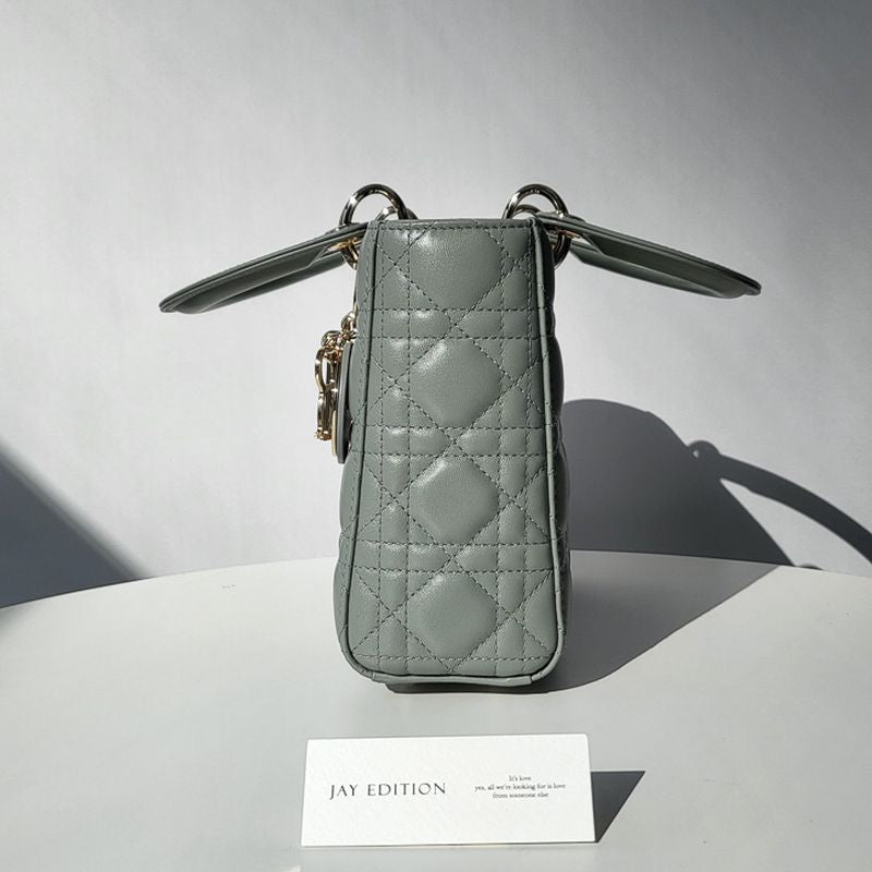 디올 레이디백 스몰