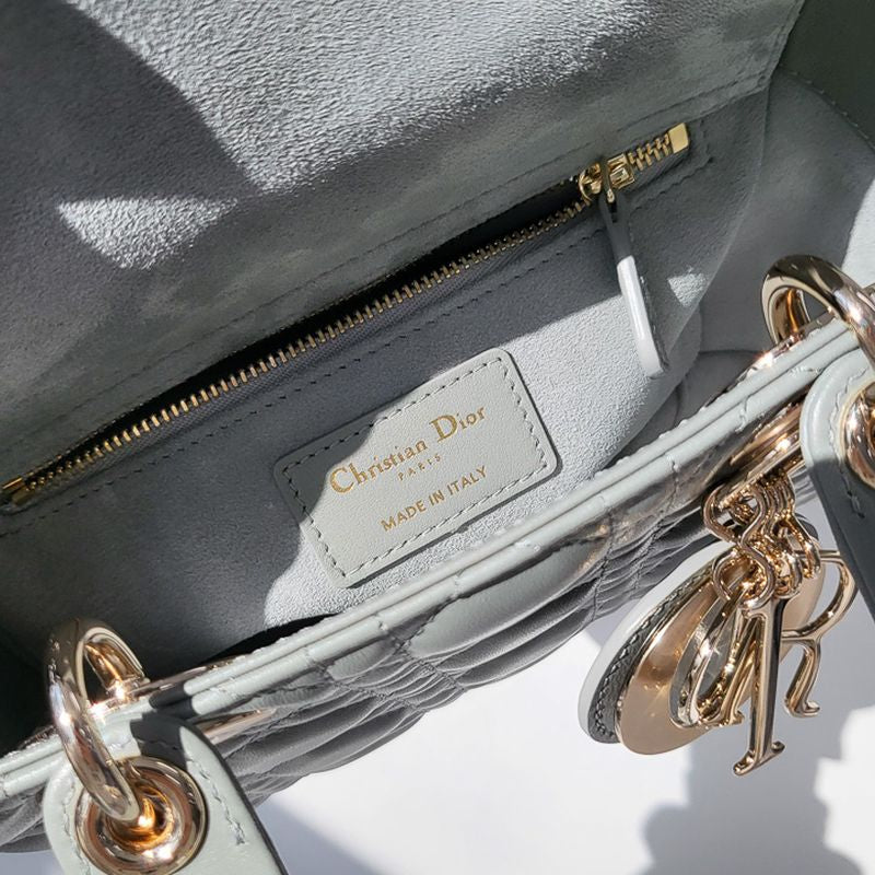 디올 레이디백 스몰