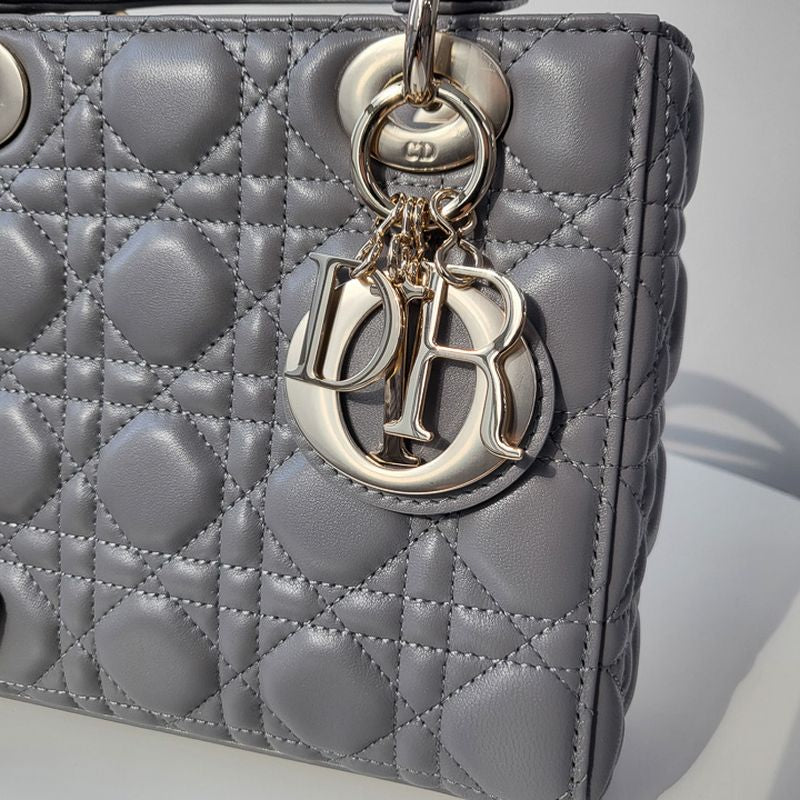 디올 레이디백 스몰