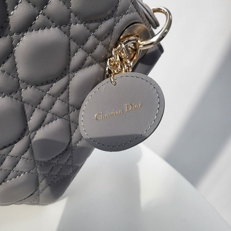 디올 레이디백 스몰