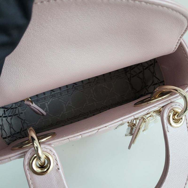 디올 레이디백 미니