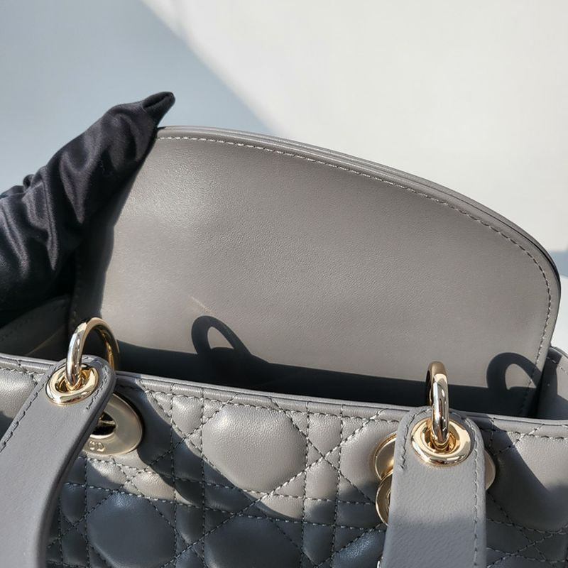 디올 레이디백 스몰