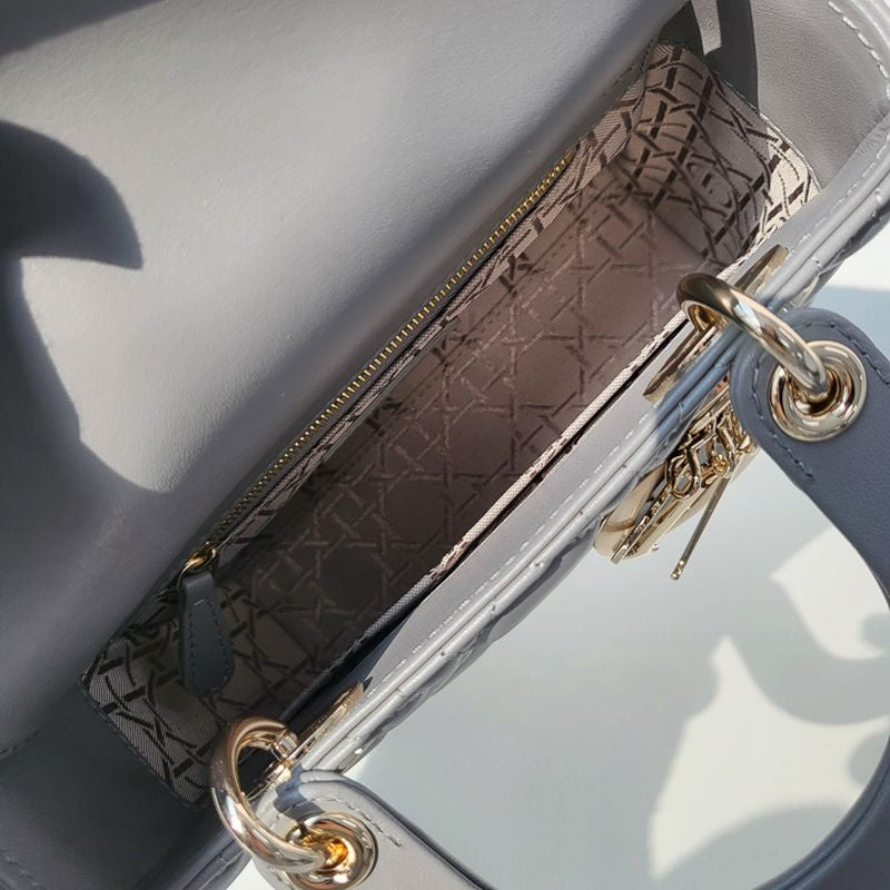 디올 레이디백 스몰