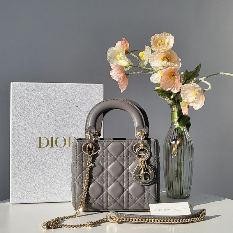 디올 레이디백 미니