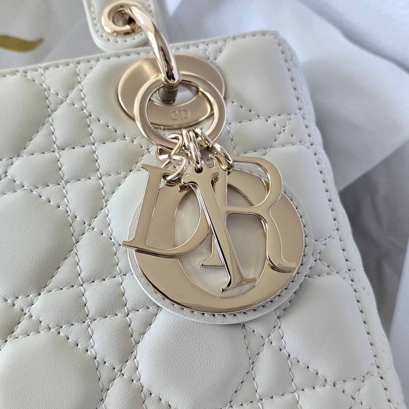 디올 레이디백 스몰