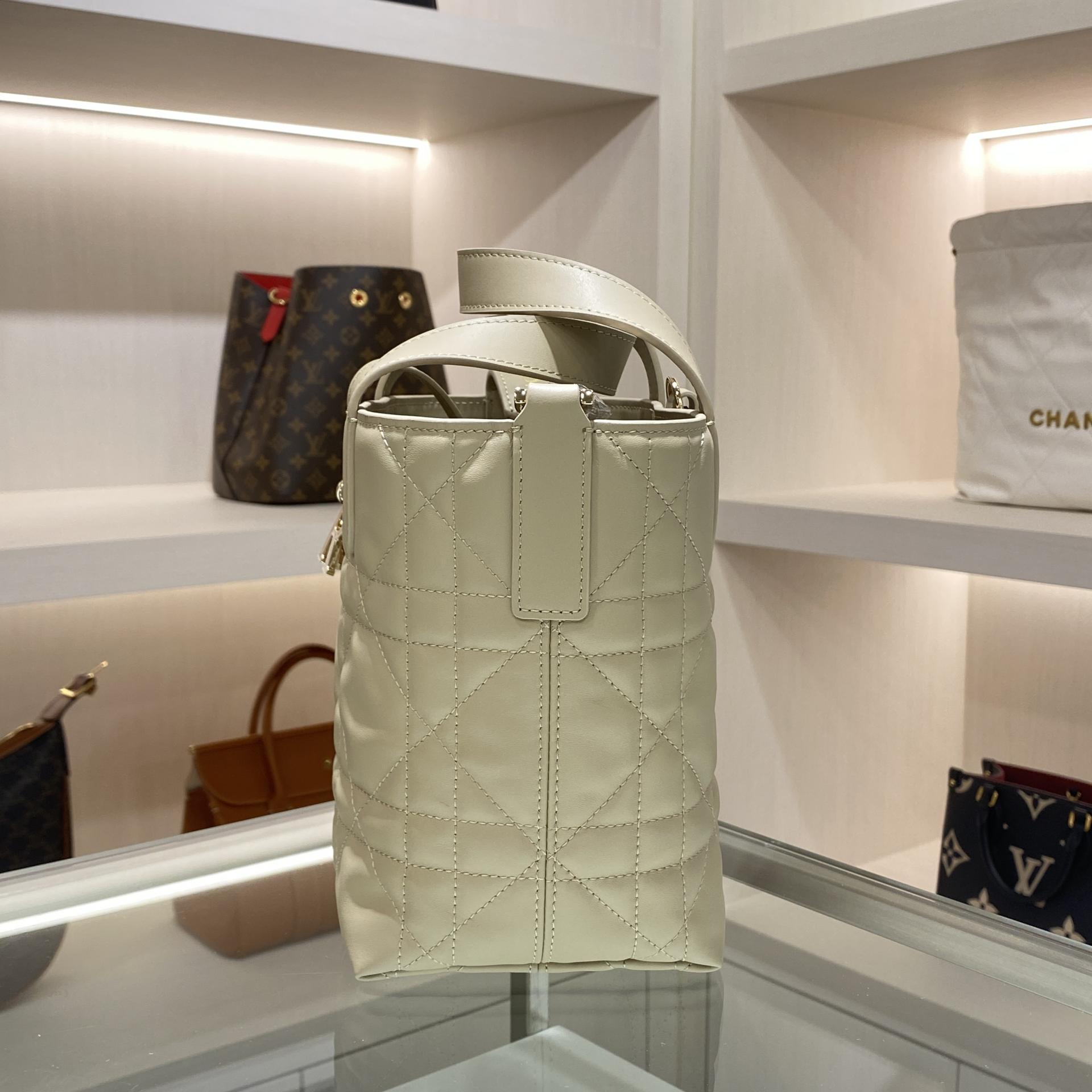 디올 버티컬 뚜주흐백 스몰,미디움