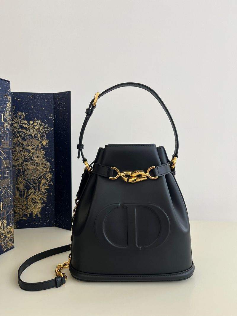 디올 Cest 미디움백