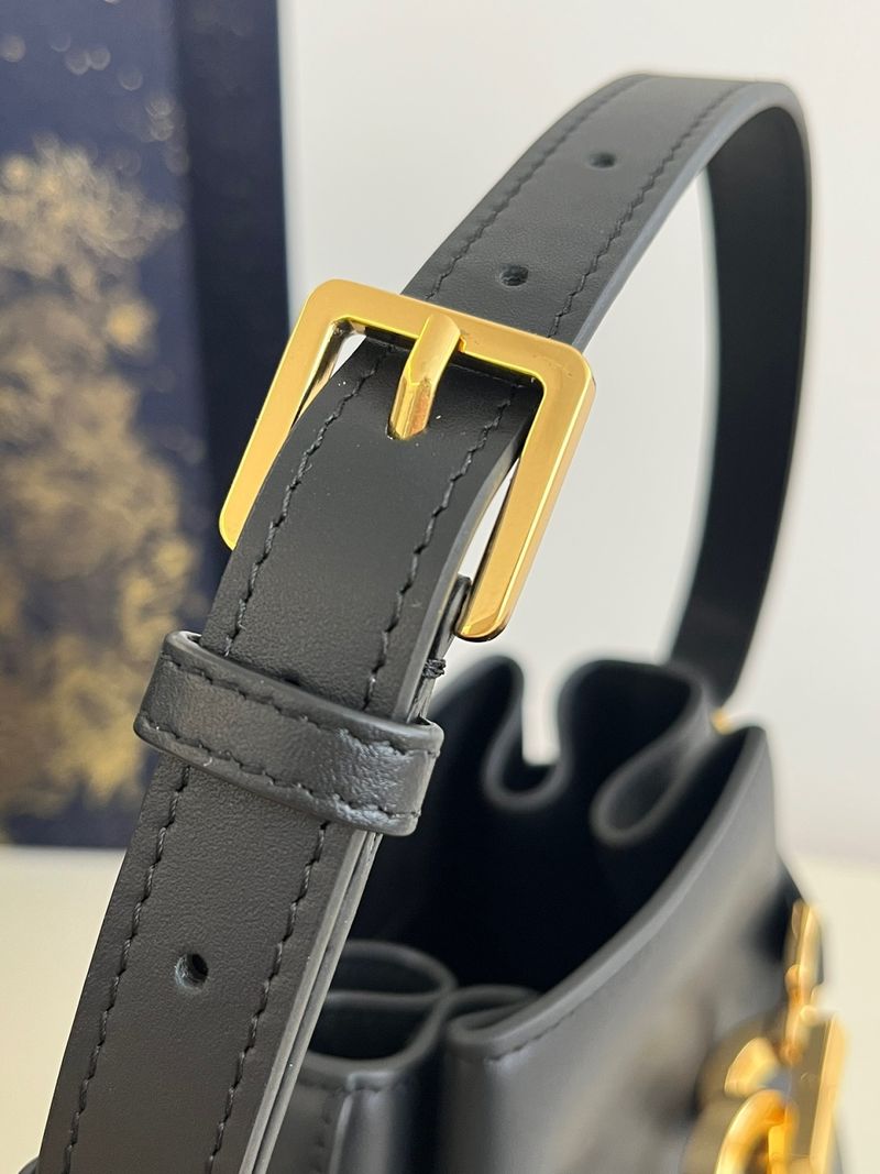 디올 Cest 미디움백