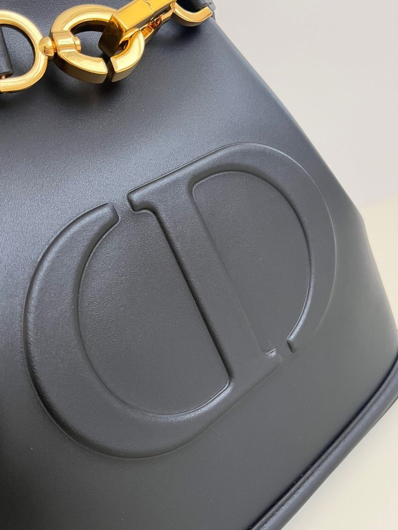 디올 Cest 미디움백