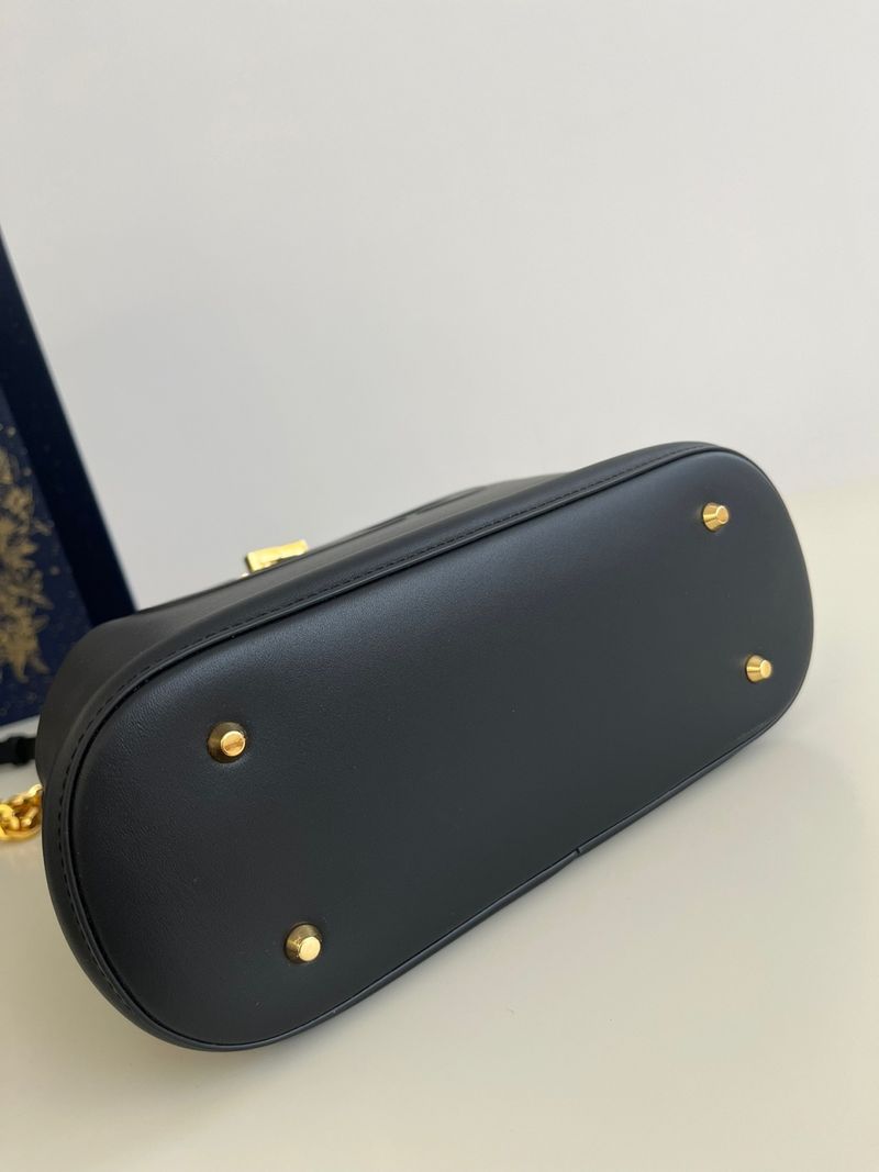 디올 Cest 미디움백