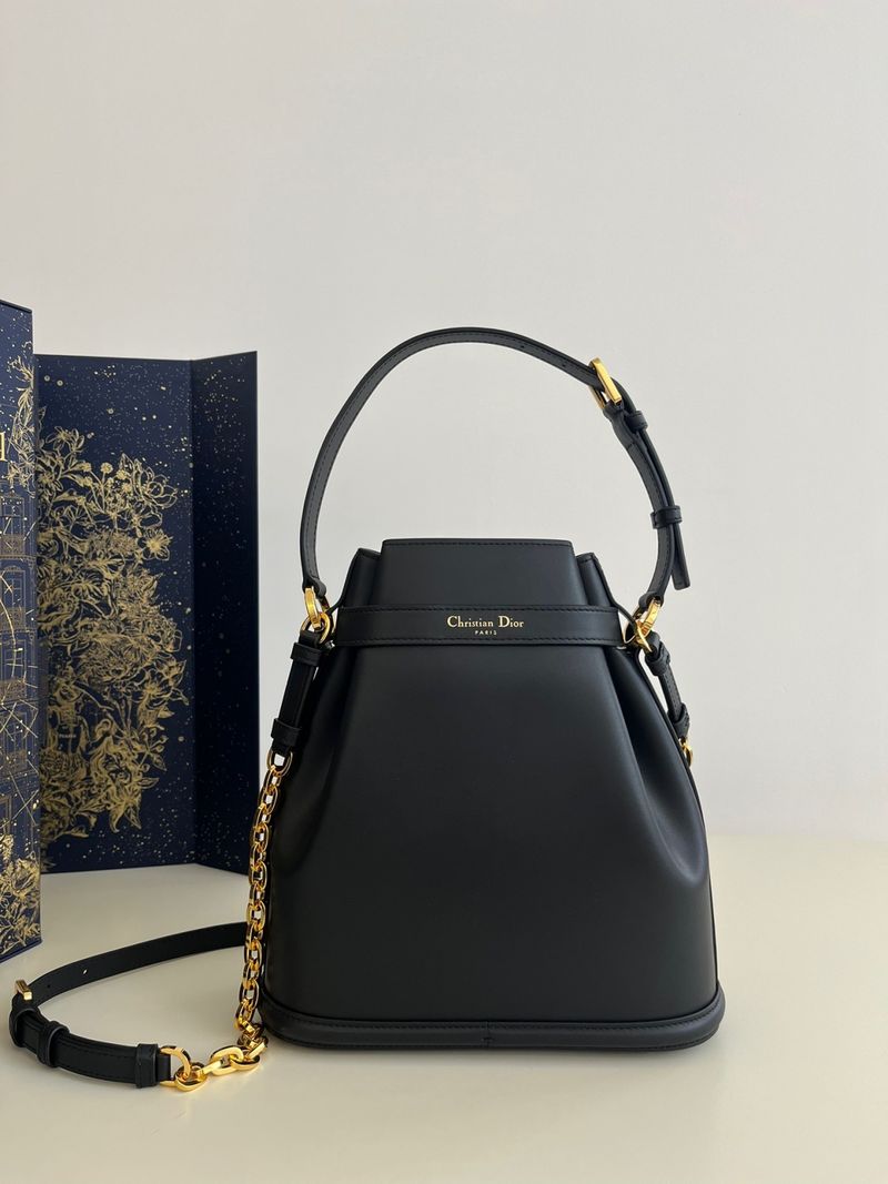 디올 Cest 미디움백