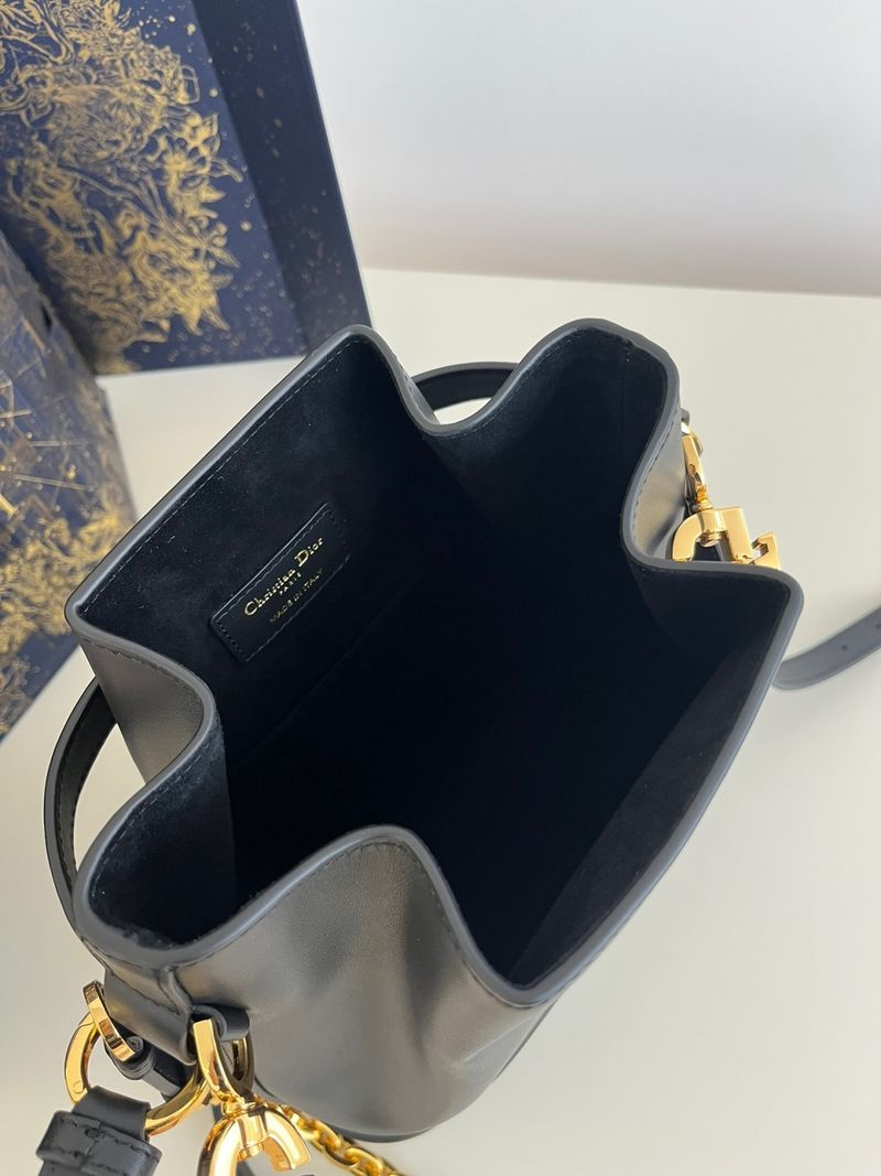 디올 Cest 미디움백