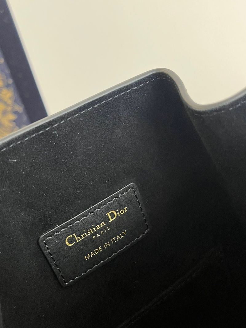 디올 Cest 미디움백