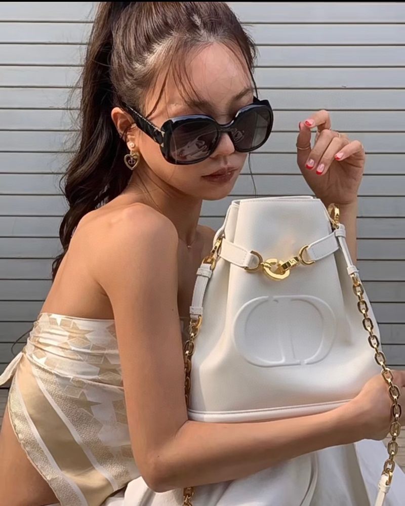 디올 Cest 미디움백