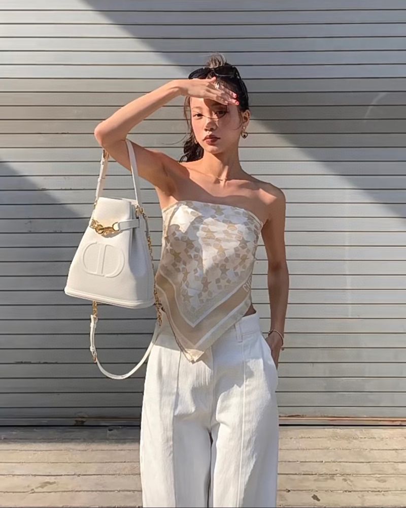 디올 Cest 미디움백