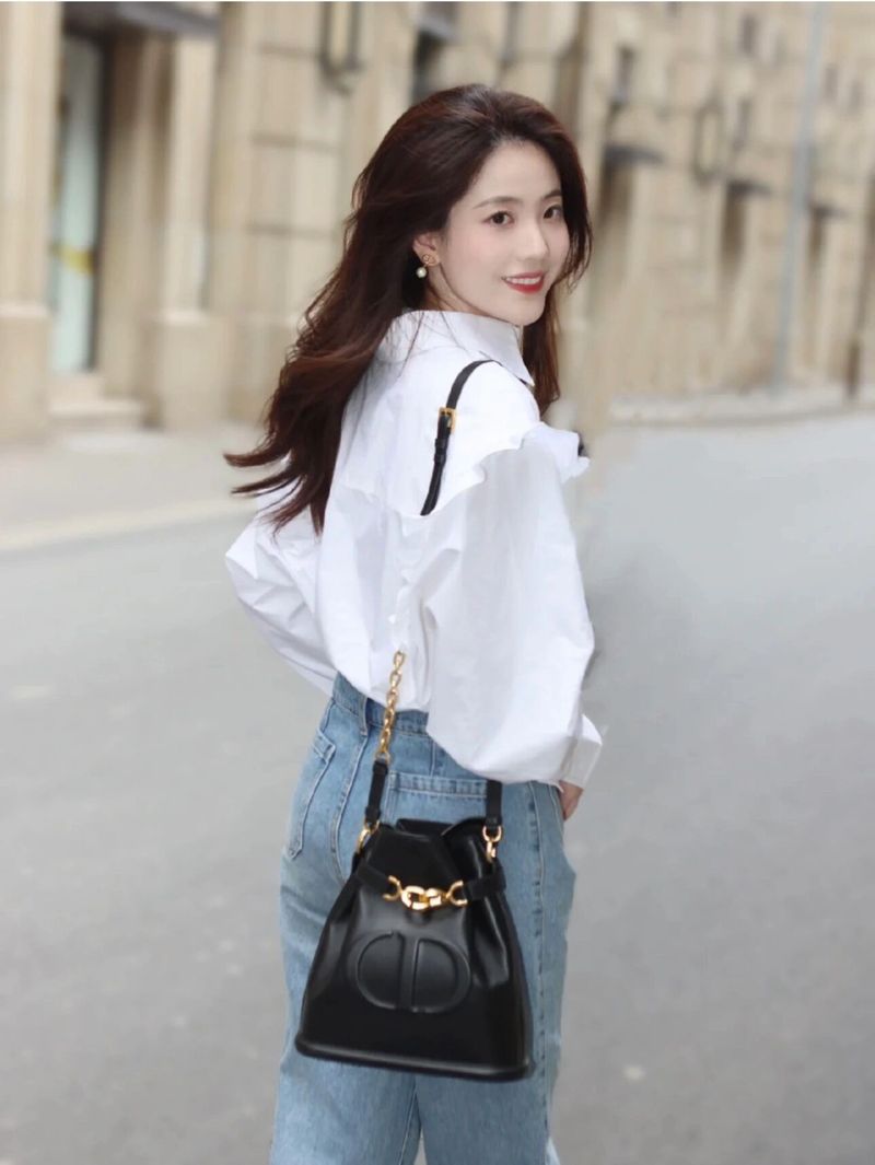 디올 Cest 미디움백