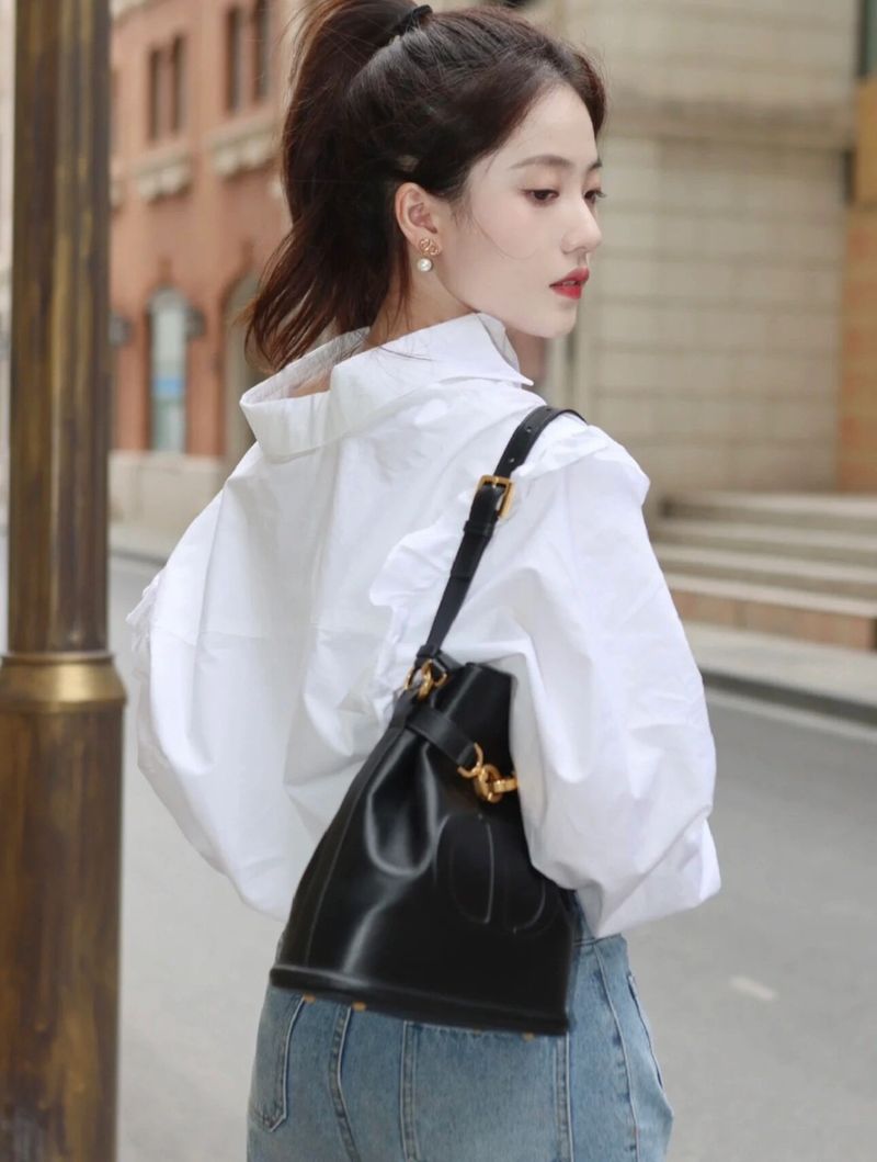 디올 Cest 미디움백